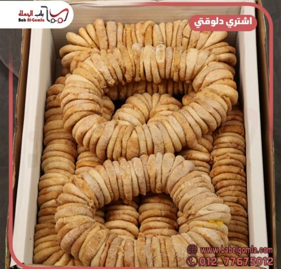 صورة تين حبل النخيل 10ك